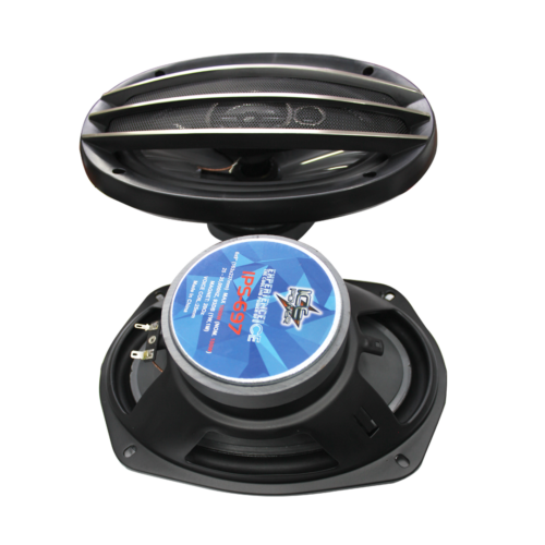 ICE POWER IPS-697 1000W
